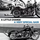 SHARKROAD 39in Upswept Fishatail True Dual for 2000-2017 Softail Slim Exhaust, Heritage Exhaust