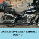 Sharkroad 2 into 1 Exhaust System 4" Muffler for 2017-2025 Harley Touring